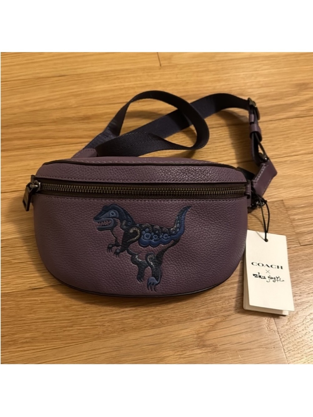 COACH - Zhy Jingsu  GORGEOUS 💜  Rexi Waist / Crossbody Bag